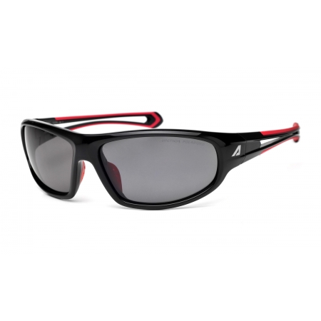 Okulary Arctica S-251B