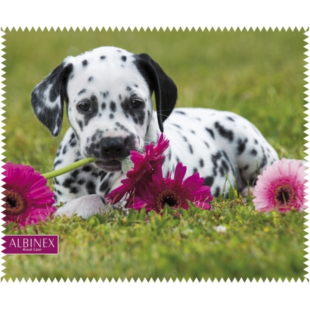 Ściereczka do okularów Albinex Animal Collection wzór 92