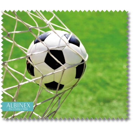 Ściereczka do okularów Albinex 50.027 Sport wzór 284